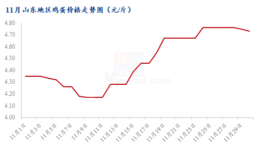 今日山东肉毛鸡最新价格分析与展望